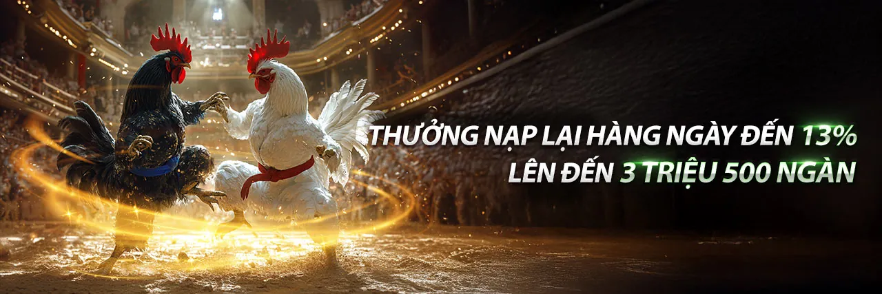 Đá Gà Trực Tuyến 1133win Khuyến Mãi